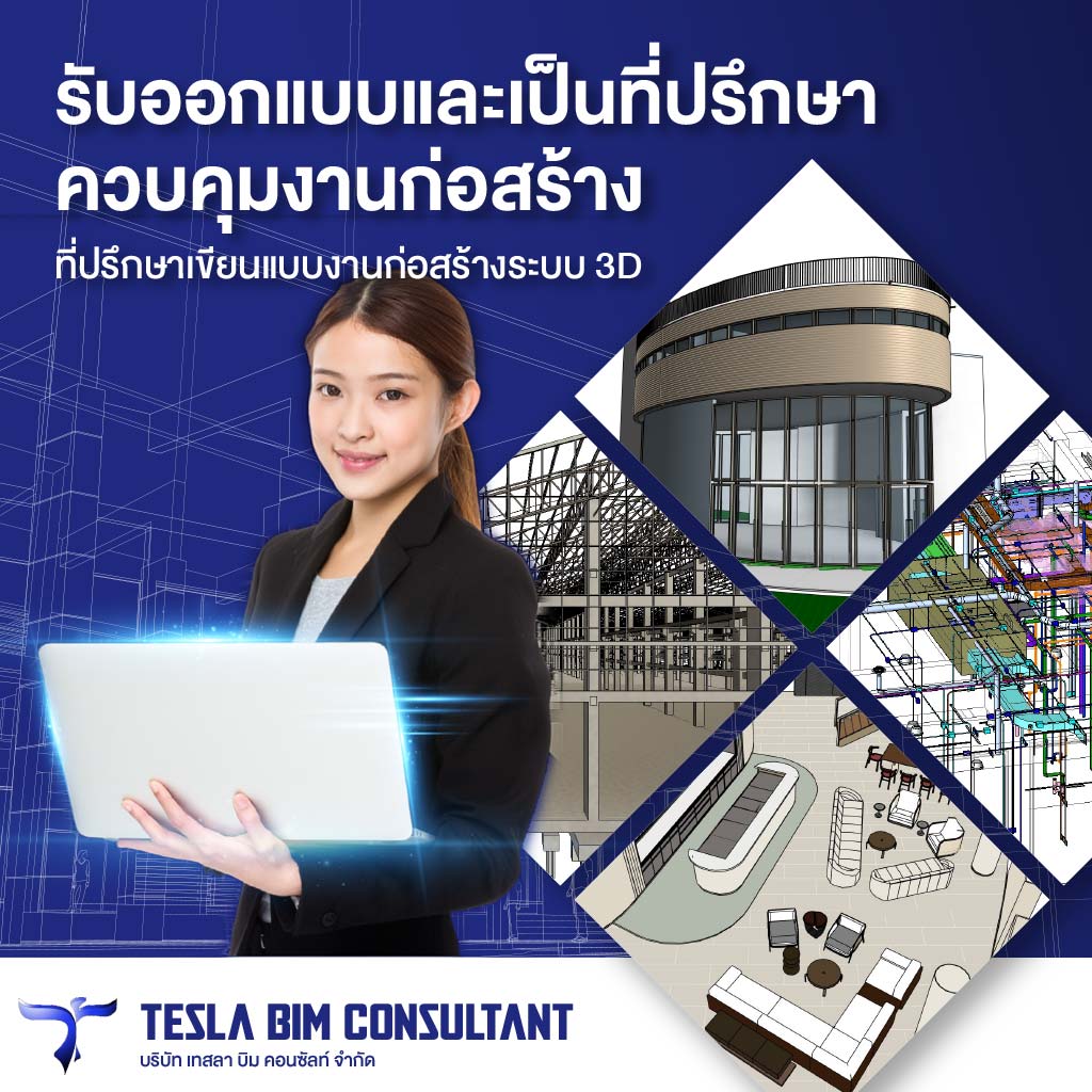 M80039062-02-เทสลา-บิม-คอนซัลท์